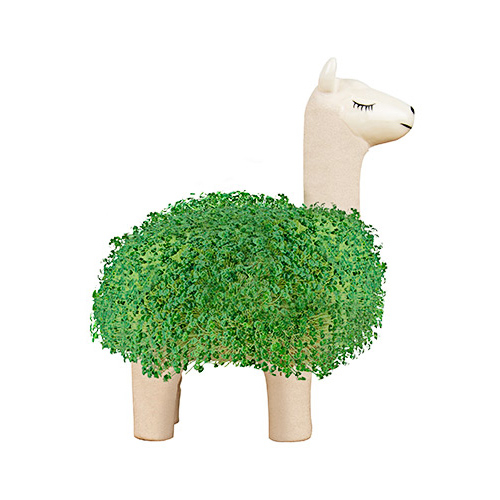 Gift Republic - darčekový kvetináč - Llama Planter