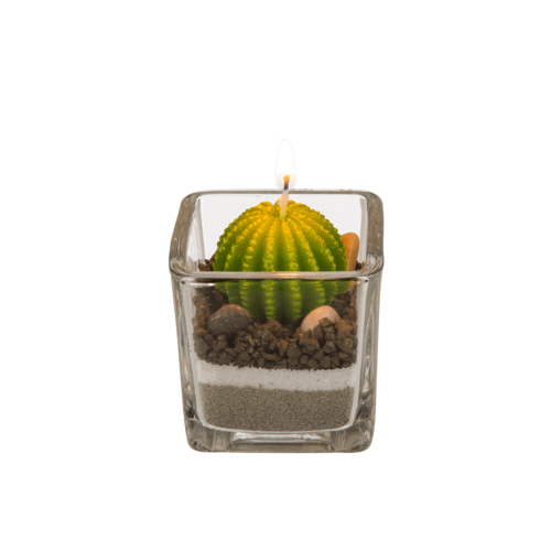 Candle in glass, Cactus with sand & stone deco - sviečka kaktus I
